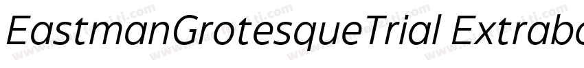 EastmanGrotesqueTrial ExtraboldItal字体转换